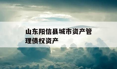 山东阳信县城市资产管理债权资产
