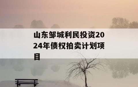 山东邹城利民投资2024年债权拍卖计划项目