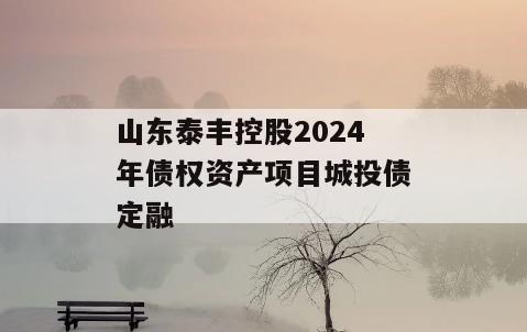 山东泰丰控股2024年债权资产项目城投债定融