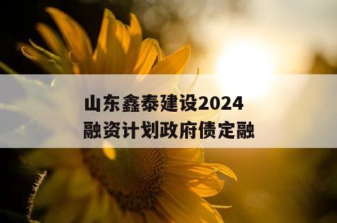 山东鑫泰建设2024融资计划政府债定融