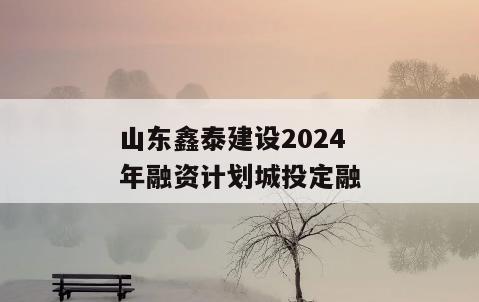 山东鑫泰建设2024年融资计划城投定融