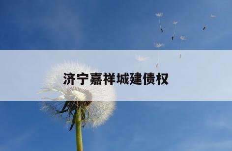 济宁嘉祥城建债权