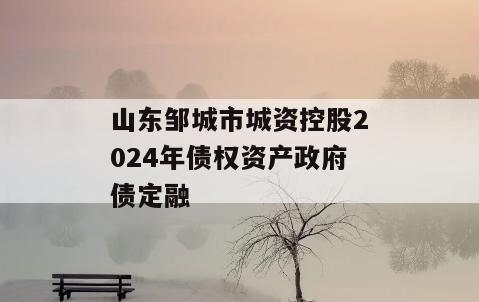 山东邹城市城资控股2024年债权资产政府债定融
