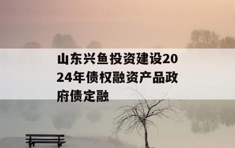 山东兴鱼投资建设2024年债权融资产品政府债定融