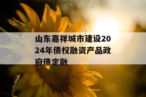 山东嘉祥城市建设2024年债权融资产品政府债定融