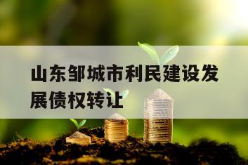 山东邹城市利民建设发展债权转让