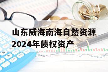 山东威海南海自然资源2024年债权资产