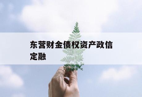 东营财金债权资产政信定融