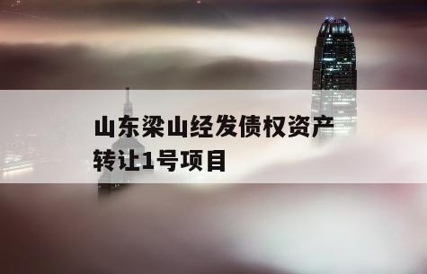 山东梁山经发债权资产转让1号项目
