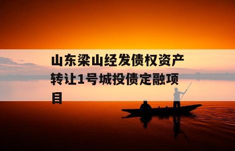 山东梁山经发债权资产转让1号城投债定融项目