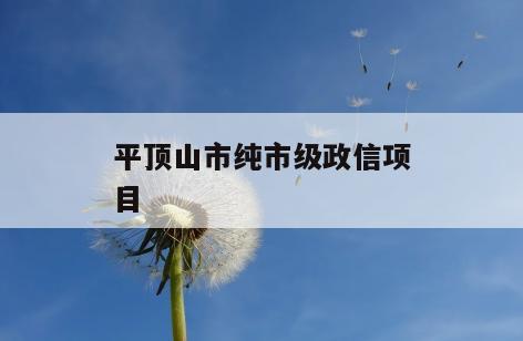 平顶山市纯市级政信项目