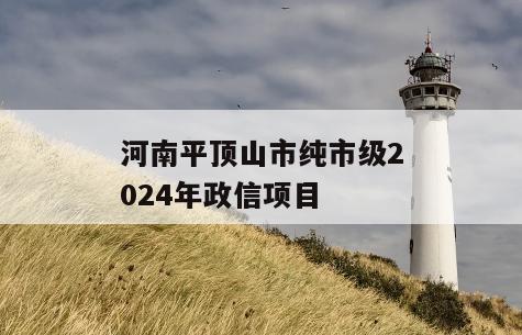河南平顶山市纯市级2024年政信项目