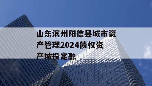 山东滨州阳信县城市资产管理2024债权资产城投定融