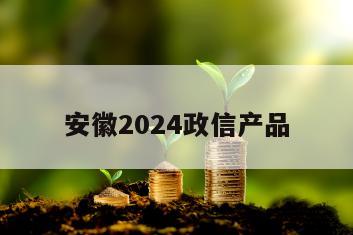 安徽2024政信产品