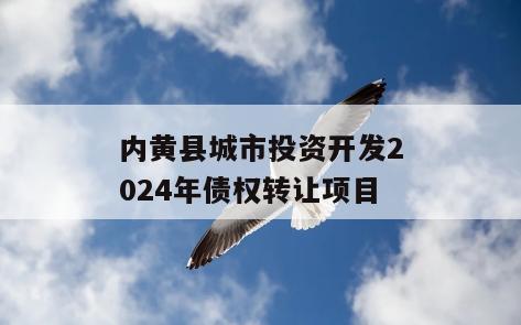 内黄县城市投资开发2024年债权转让项目