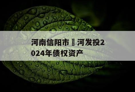河南信阳市浉河发投2024年债权资产