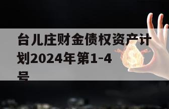 台儿庄财金债权资产计划2024年第1-4号