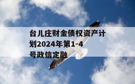 台儿庄财金债权资产计划2024年第1-4号政信定融