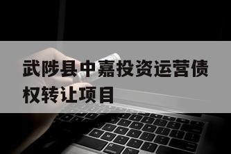武陟县中嘉投资运营债权转让项目