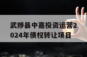 武陟县中嘉投资运营2024年债权转让项目