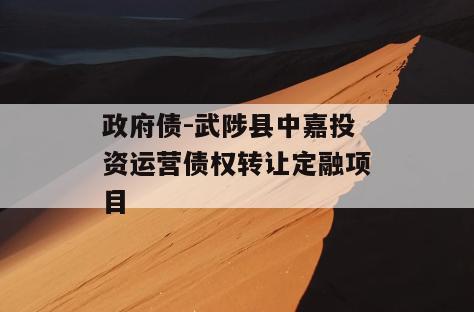 政府债-武陟县中嘉投资运营债权转让定融项目
