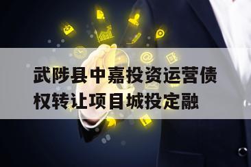 武陟县中嘉投资运营债权转让项目城投定融