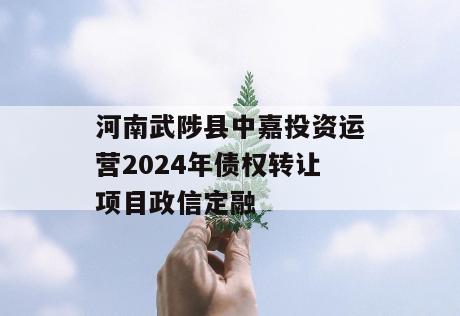 河南武陟县中嘉投资运营2024年债权转让项目政信定融