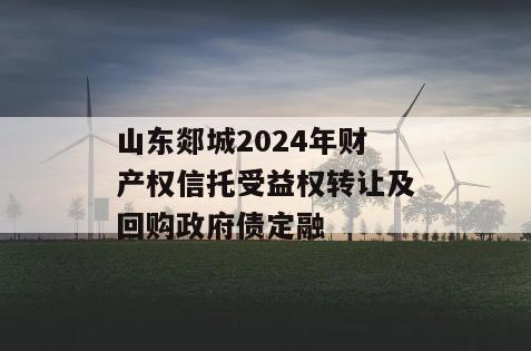 山东郯城2024年财产权信托受益权转让及回购政府债定融