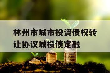 林州市城市投资债权转让协议城投债定融