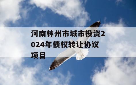 河南林州市城市投资2024年债权转让协议项目