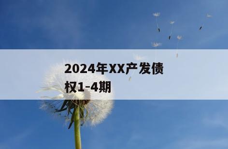 2024年XX产发债权1-4期