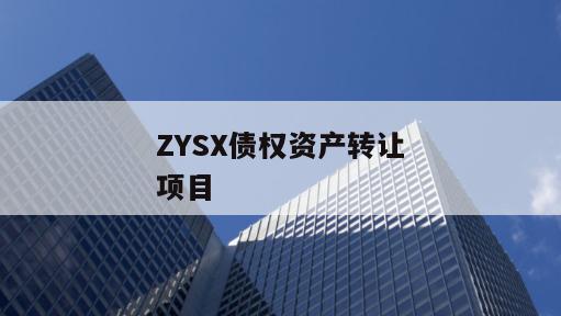 ZYSX债权资产转让项目