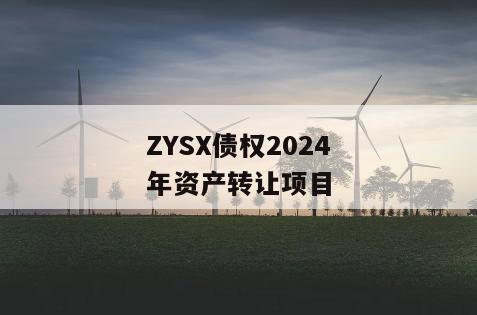 ZYSX债权2024年资产转让项目