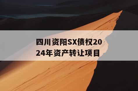 四川资阳SX债权2024年资产转让项目