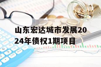 山东宏达城市发展2024年债权1期项目
