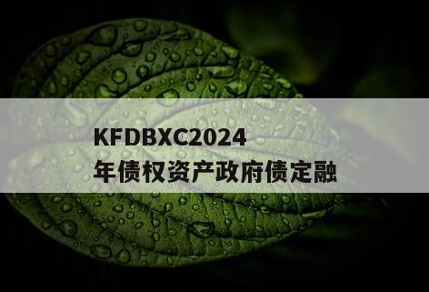 KFDBXC2024年债权资产政府债定融