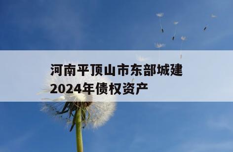 河南平顶山市东部城建2024年债权资产