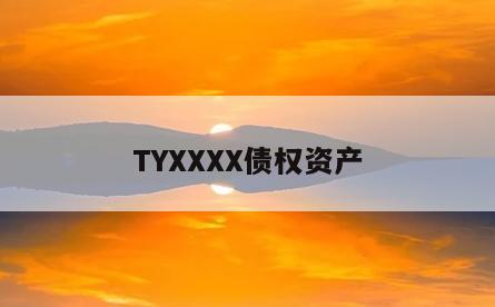 TYXXXX债权资产