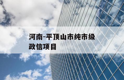河南-平顶山市纯市级政信项目
