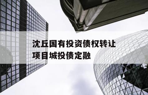 沈丘国有投资债权转让项目城投债定融