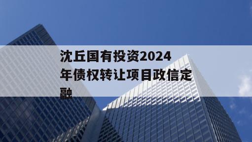 沈丘国有投资2024年债权转让项目政信定融