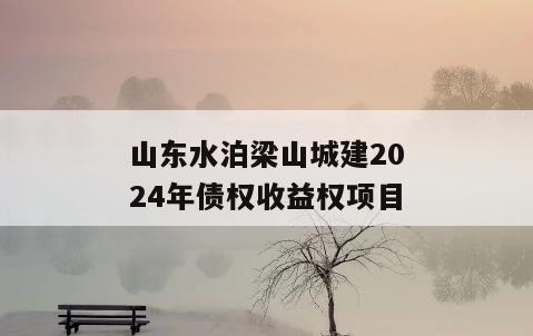 山东水泊梁山城建2024年债权收益权项目