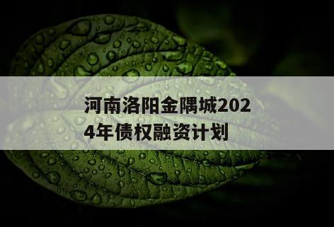 河南洛阳金隅城2024年债权融资计划