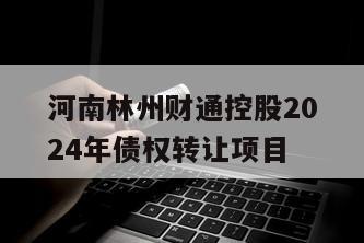 河南林州财通控股2024年债权转让项目