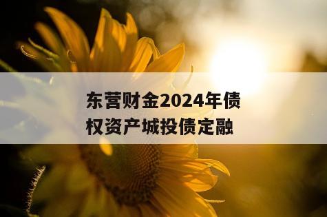 东营财金2024年债权资产城投债定融