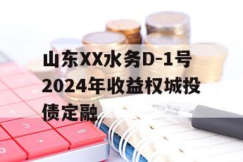 山东XX水务D-1号2024年收益权城投债定融