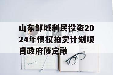 山东邹城利民投资2024年债权拍卖计划项目政府债定融