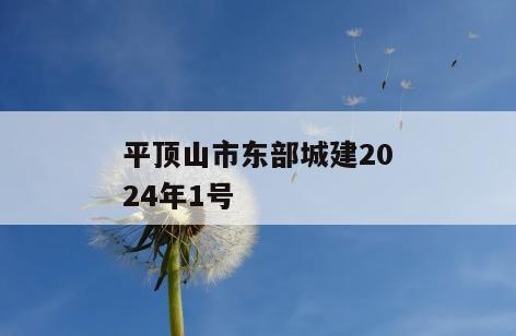 平顶山市东部城建2024年1号