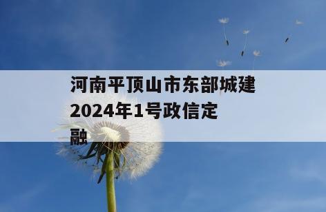 河南平顶山市东部城建2024年1号政信定融