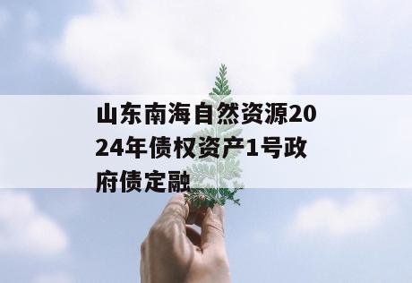 山东南海自然资源2024年债权资产1号政府债定融